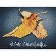 如小果的夏天