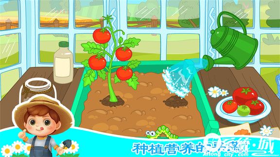 宝宝芭芭农场免费版下载