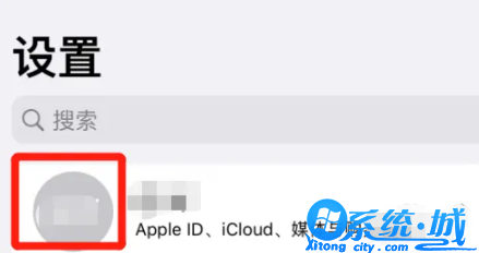 苹果手机的id账号忘记了怎么办