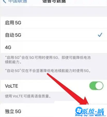 苹果手机5gsa功能怎么打开