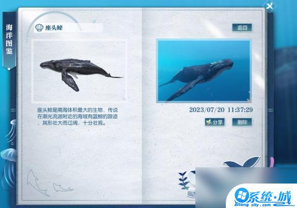 逆水寒座头鲸在哪里可以找到 逆水寒座头鲸坐标介绍