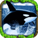 虎鲸攻击模拟3D