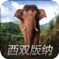 亚洲象预警app官方版