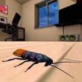 蟑螂小强模拟器汉化版