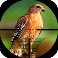 鸟类狩猎挑战最新版
