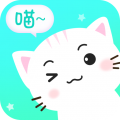 猫咪对话翻译器安卓版